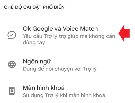 Voice Match